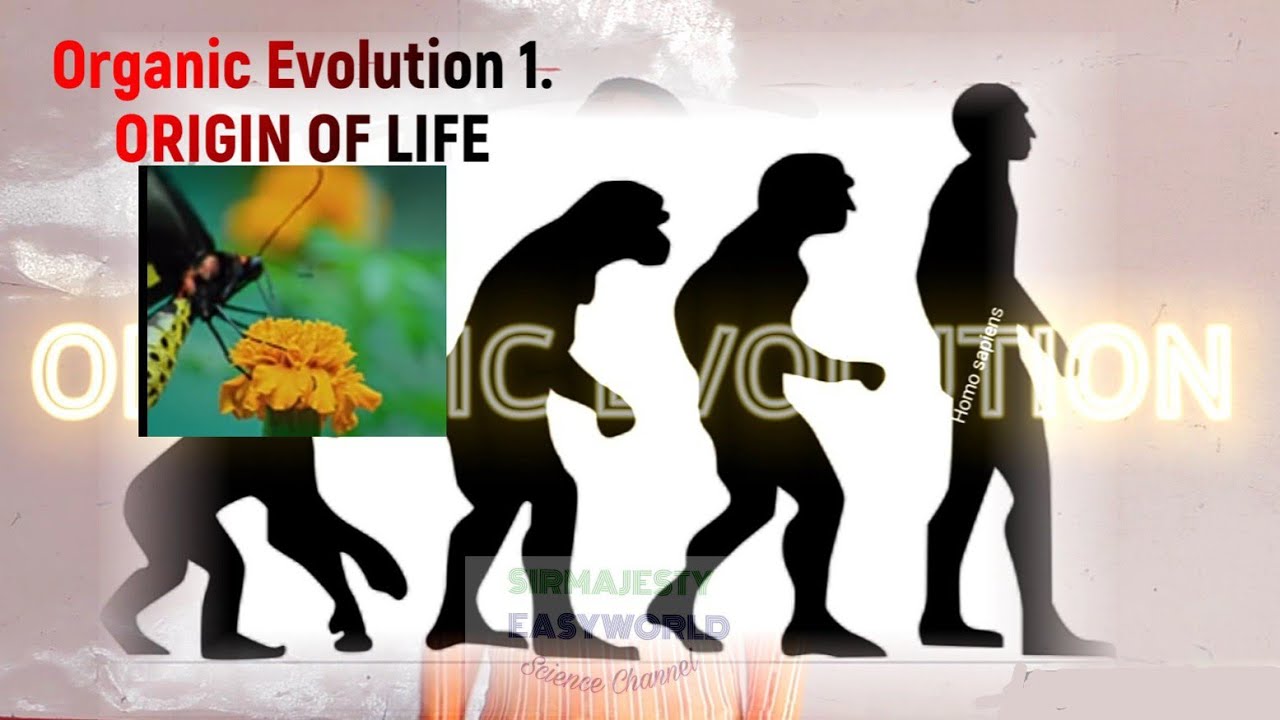 ORGANIC EVOLUTION 1. The origin of life.(OOL)