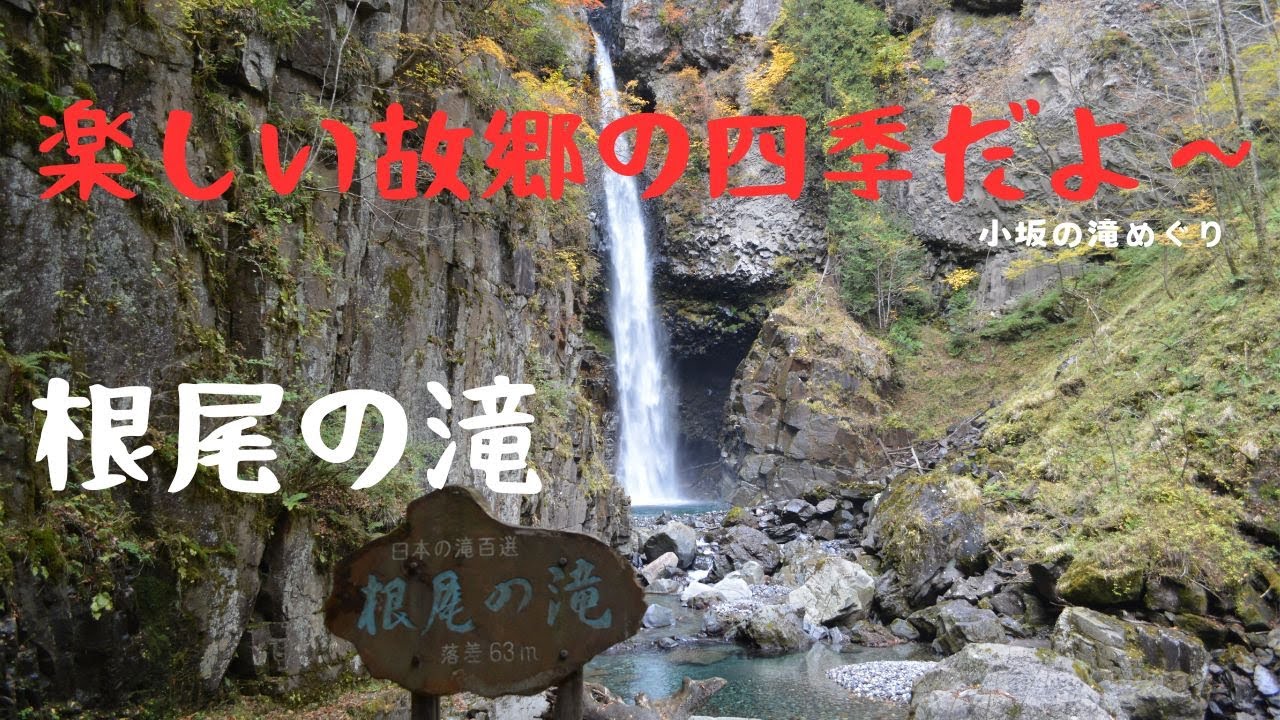 楽しい故郷の四季だよ～　小坂の滝めぐり 根尾の滝・唐谷・あかがねとよ 1