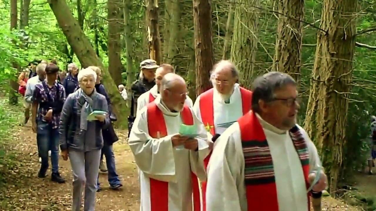 Saint Jouvin 2017 - Brix (50)
