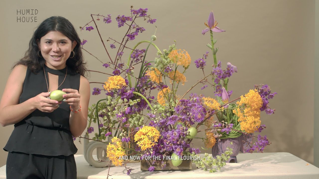 GARDEN DREAMING: This Humid House Appropriating Nature for Pleasure Home Edition (Part 1)