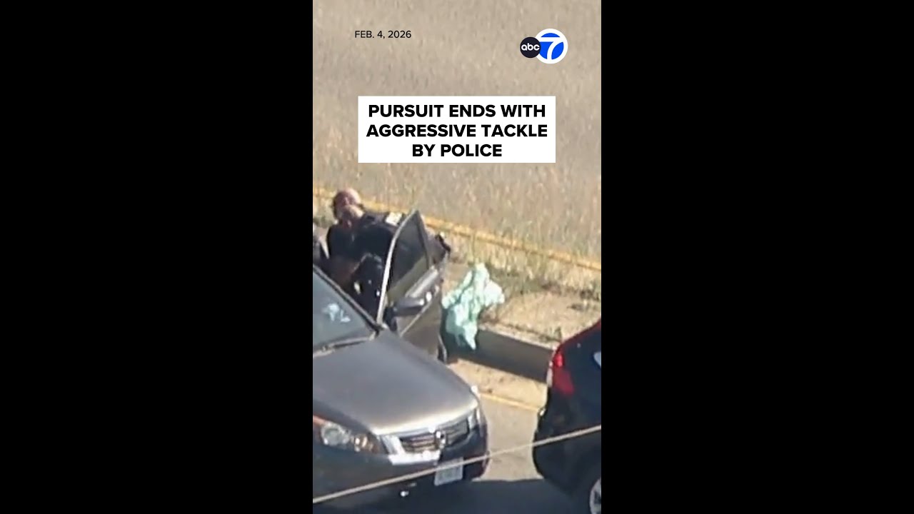 Chase ends with aggressive tackle by police