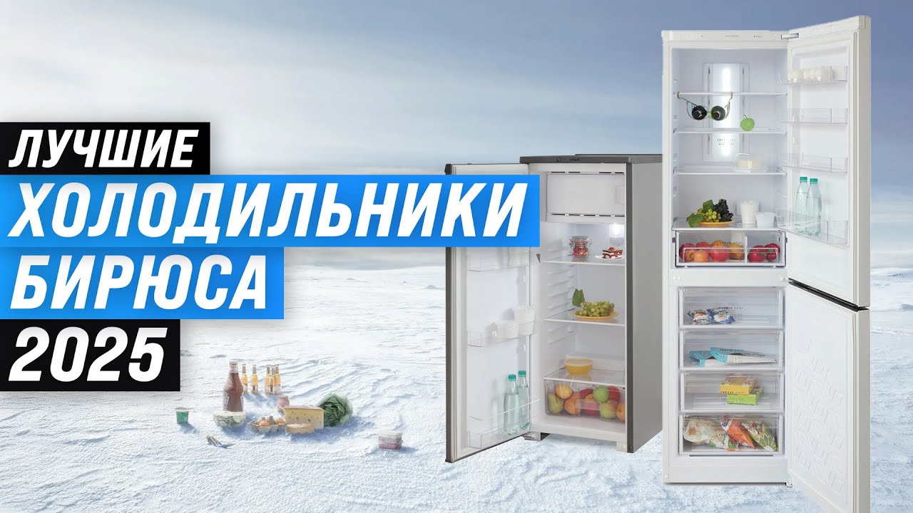 ТОП 5: Лучшие холодильники Бирюса 🏆 Рейтинг 2025 года по качеству и надежности