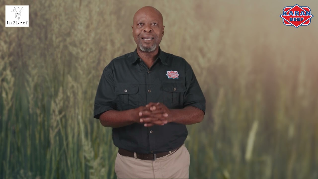KARAN BEEF Academy - EP 1 INTRO & OVERVIEW OF THE SA CATTLE MARKET - ENG