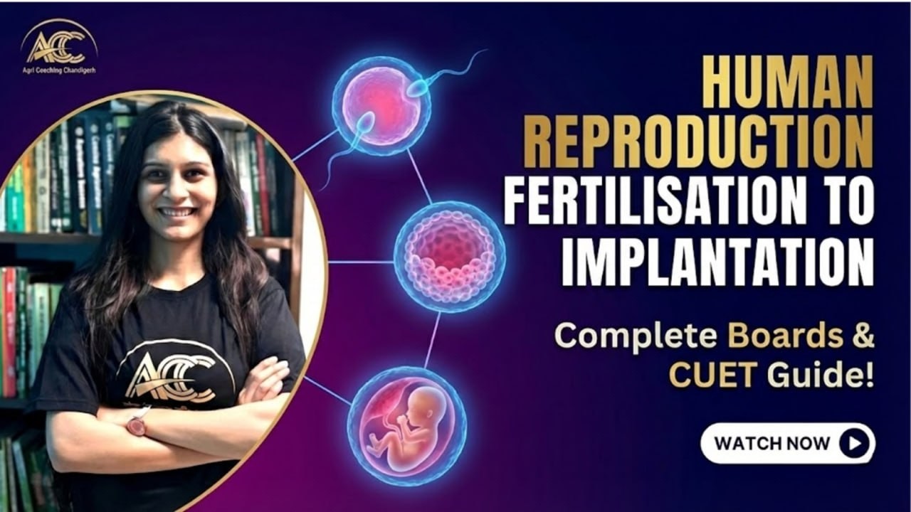 Human Reproduction | Fertilization to Implantation | CUET UG 2026