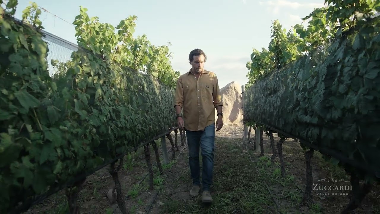 ZUCCARDI SUPERCAL | ESP