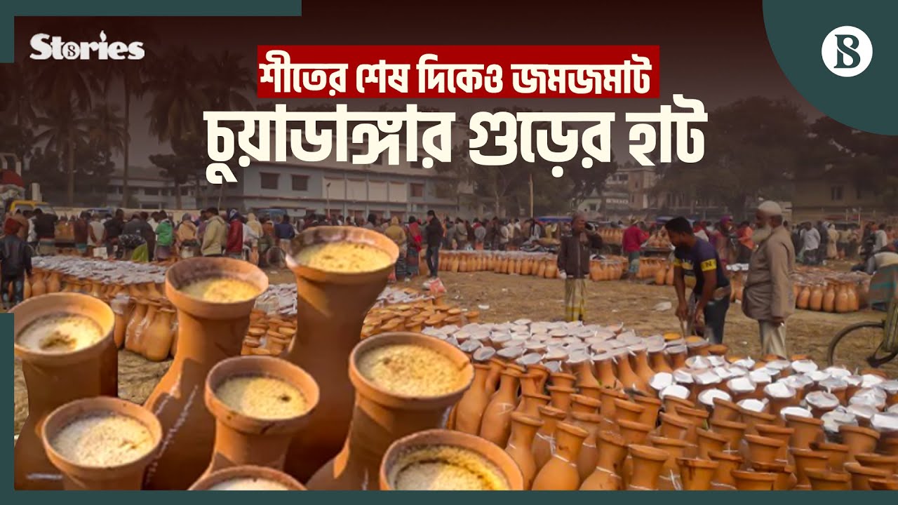 দেশের সর্বোচ্চ খেজুর গুড় বেচাকেনা হয় যে হাটে | Chuadanga | Date Palm Jaggery | The Business Standard