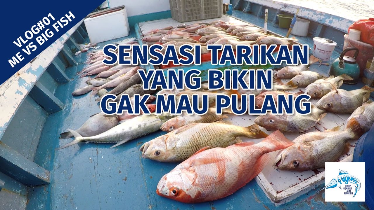 EPIC MOMENT - ME VS BIG FISH Video1 - Kakap Merah - Jenaha - Wakung - Kurisi Hijau
