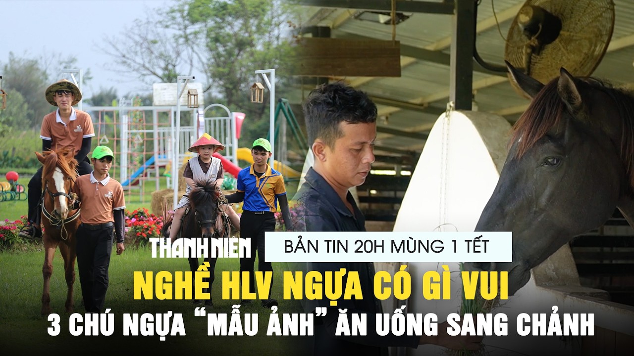 BẢN TIN 20H MÙNG 1 TẾT: Nghề HLV ngựa có gì vui | 3 chú ngựa “mẫu ảnh” ăn uống sang chảnh
