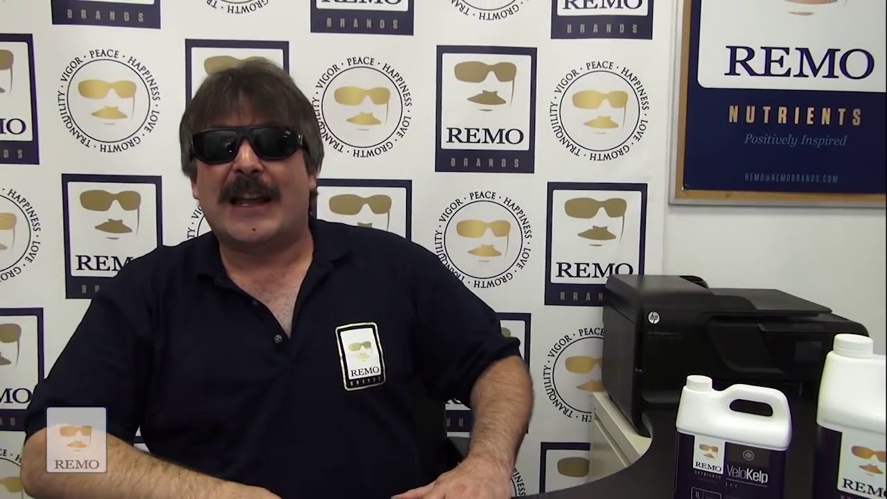 Remo Nutrients  VeloKelp