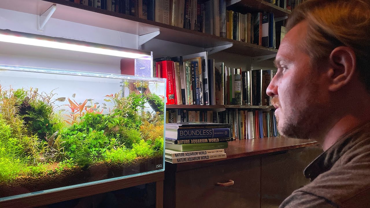 Fish Habitat Expert Reveals Beautiful Aquascape and Aquarium Books
