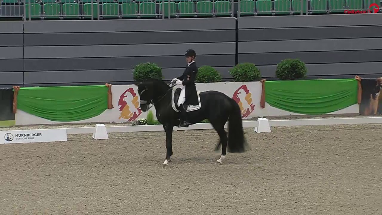 Total Hope OLD wins the Nurnberger Burgpokal einlaufprüfung with 77,17%