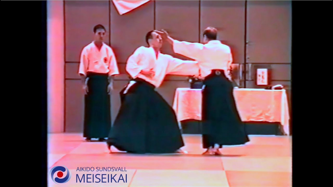 Aikido Gyaku Hanmi Kotegaeshi Nishio Sensei Uppsala 1993
