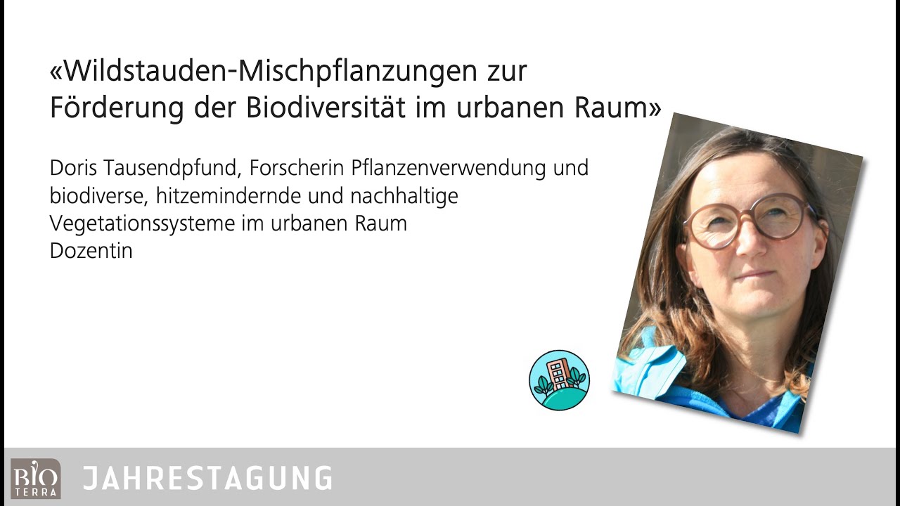 Wildstauden-Mischpflanzungen zur Förderung der Biodiversität im urbanen Raum