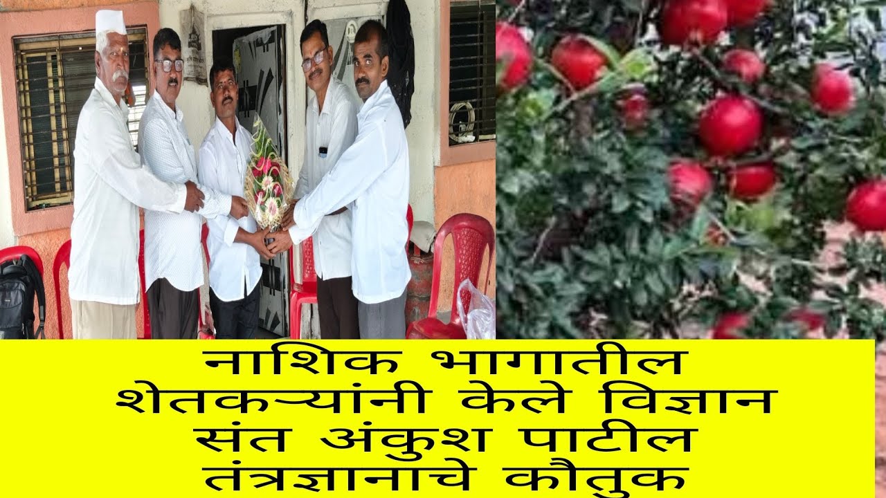 #नाशिक भागातील शेतकऱ्यांनी अंकुश पाटील तंत्रज्ञानाचे केले कौतुक#लक्ष्मण शिंदे शेतकरी दूत 