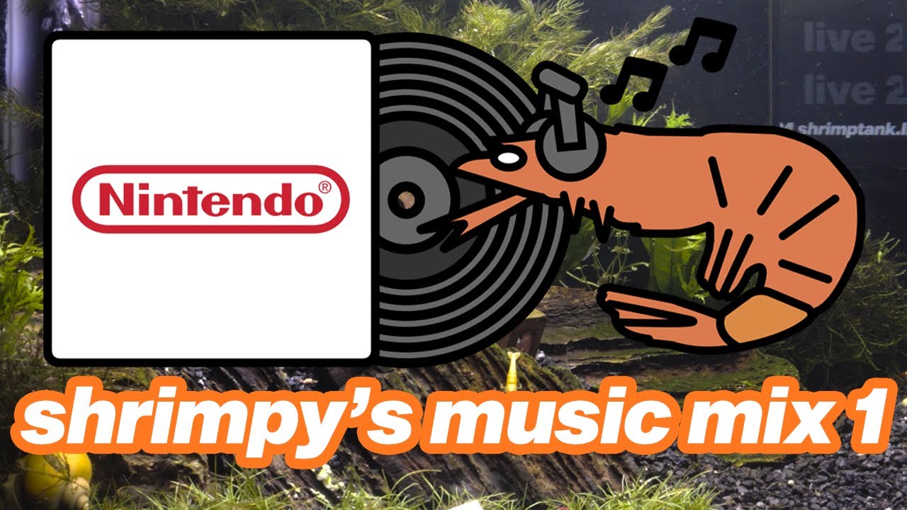 shrimpy's nintendo water music mix 1 + shrimptank.live water ambiance (4k shrimp tank)