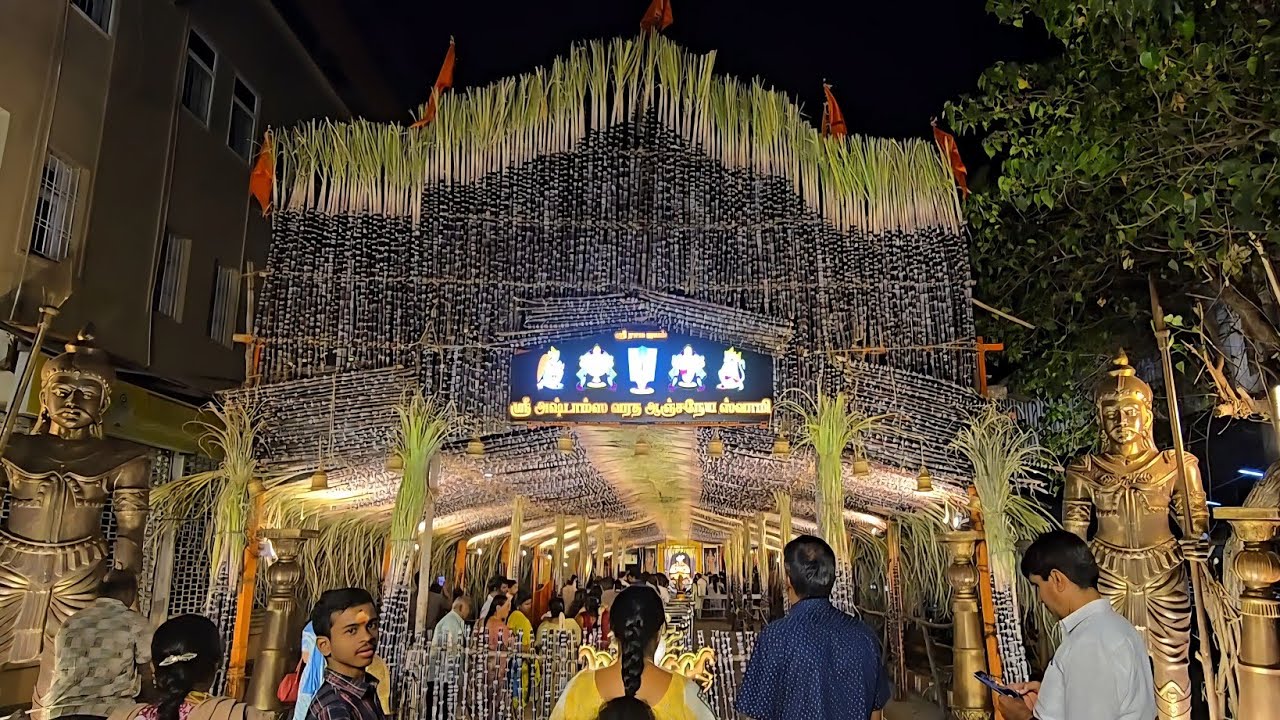  a glimpse of last year’s sugarcane alankaram (14/01/2025)🌾✨ Jai Sri Ram 
