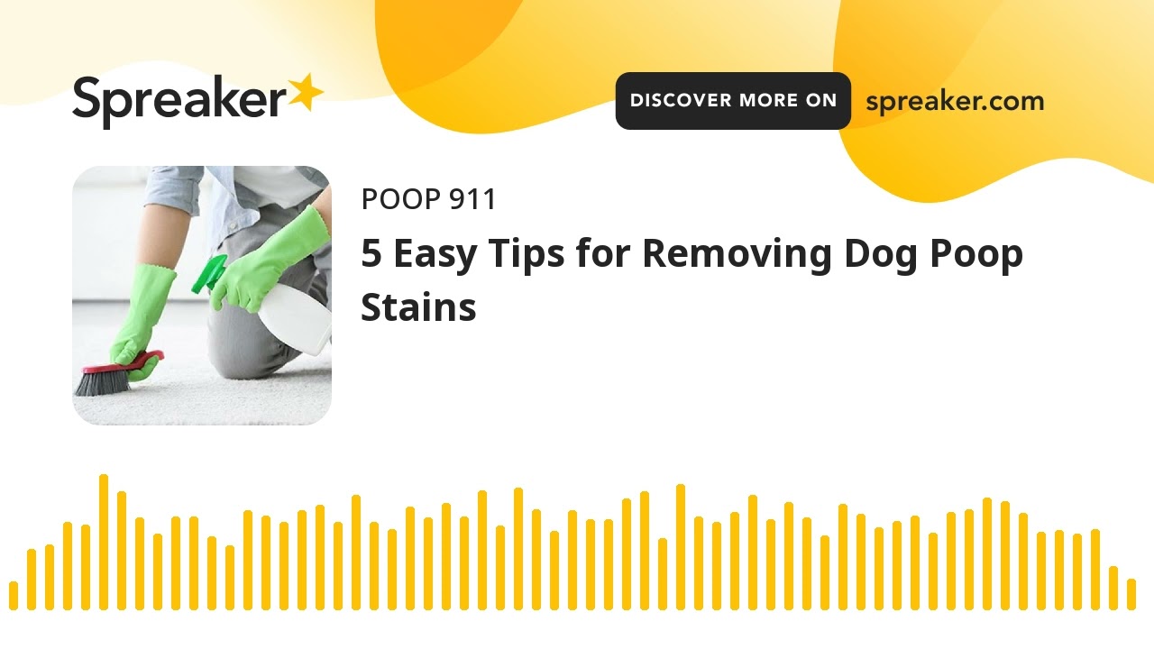 5 Easy Tips for Removing Dog Poop Stains