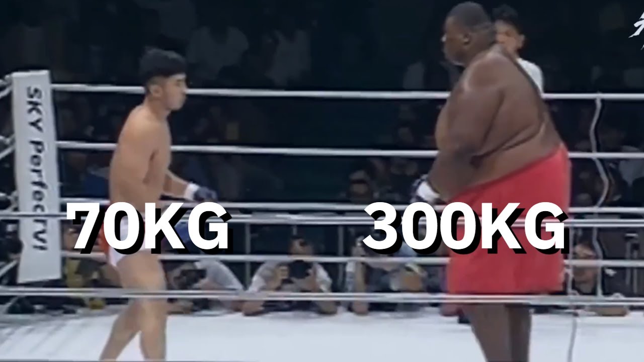 300kg vs 70kg 체급 제한 없이 싸운다면 ??!!