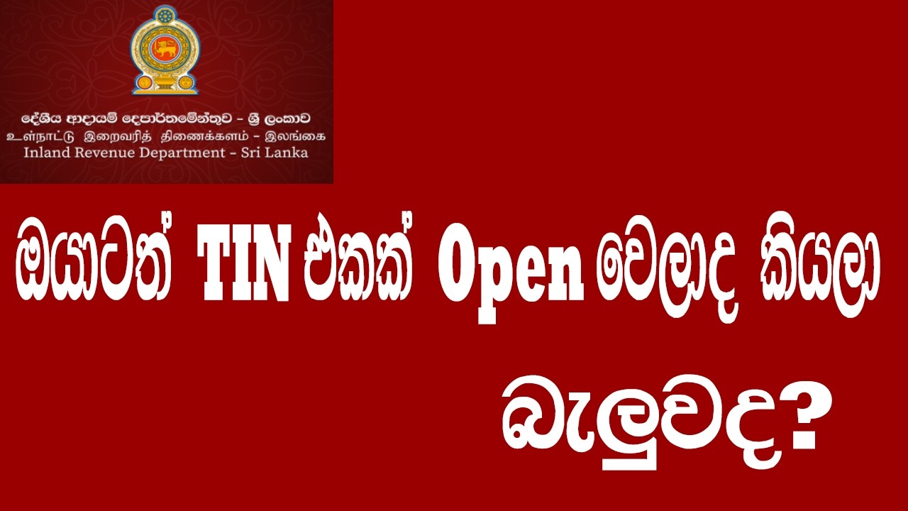 How to Check Your TIN in Sri Lanka