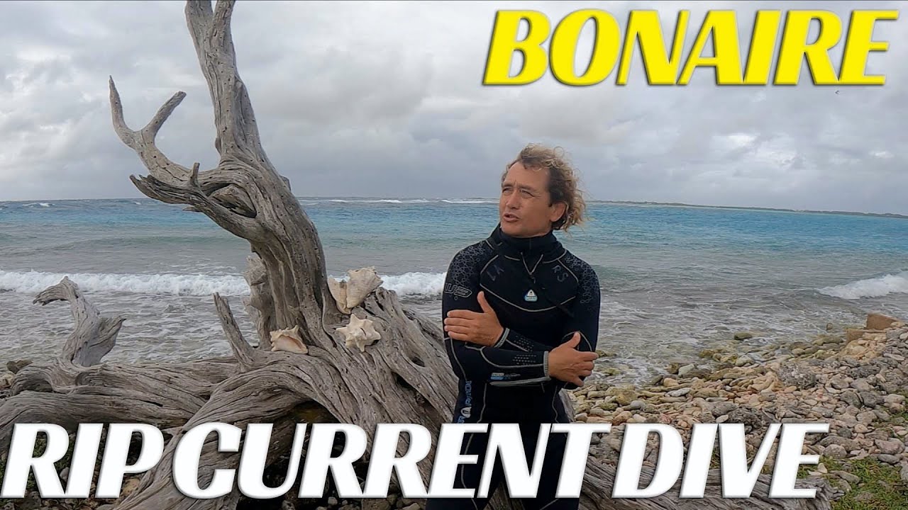 Rip Current Dive At Lac Cai - Bonaire Scuba Adventure - Ep 41