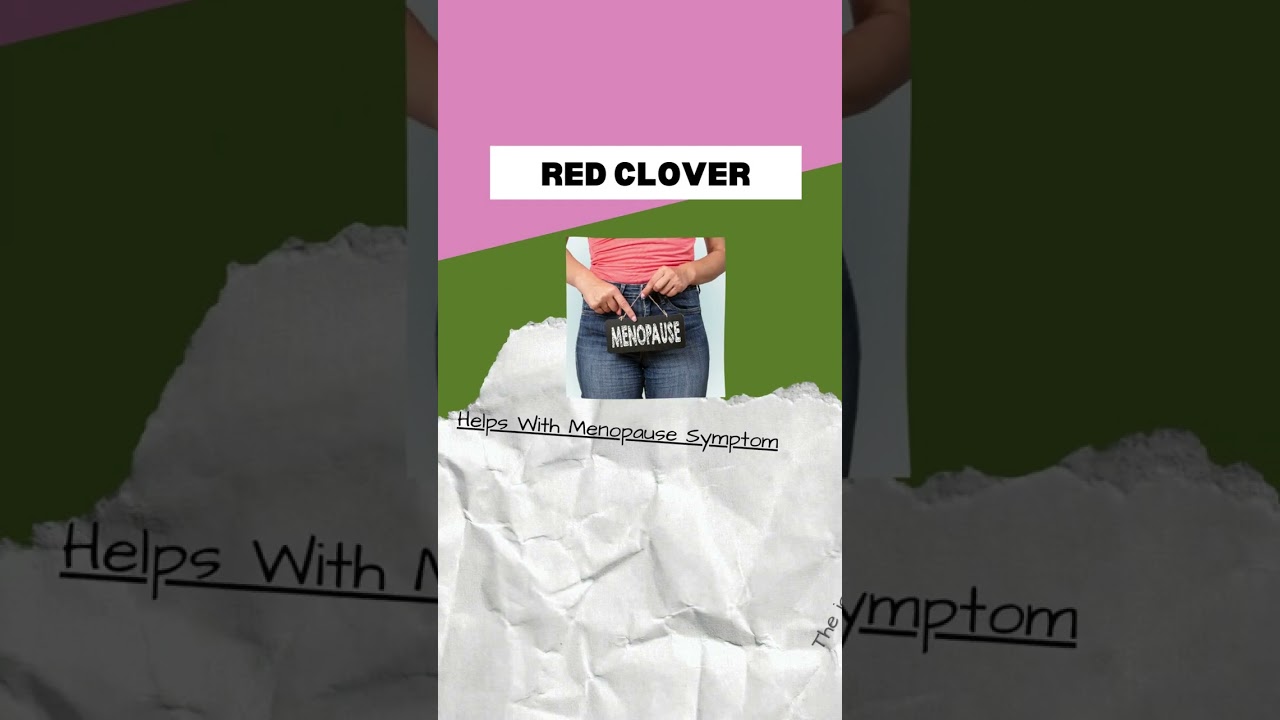 Red Clover: Unlocking the Health Benefits of this Nutritious Herb 