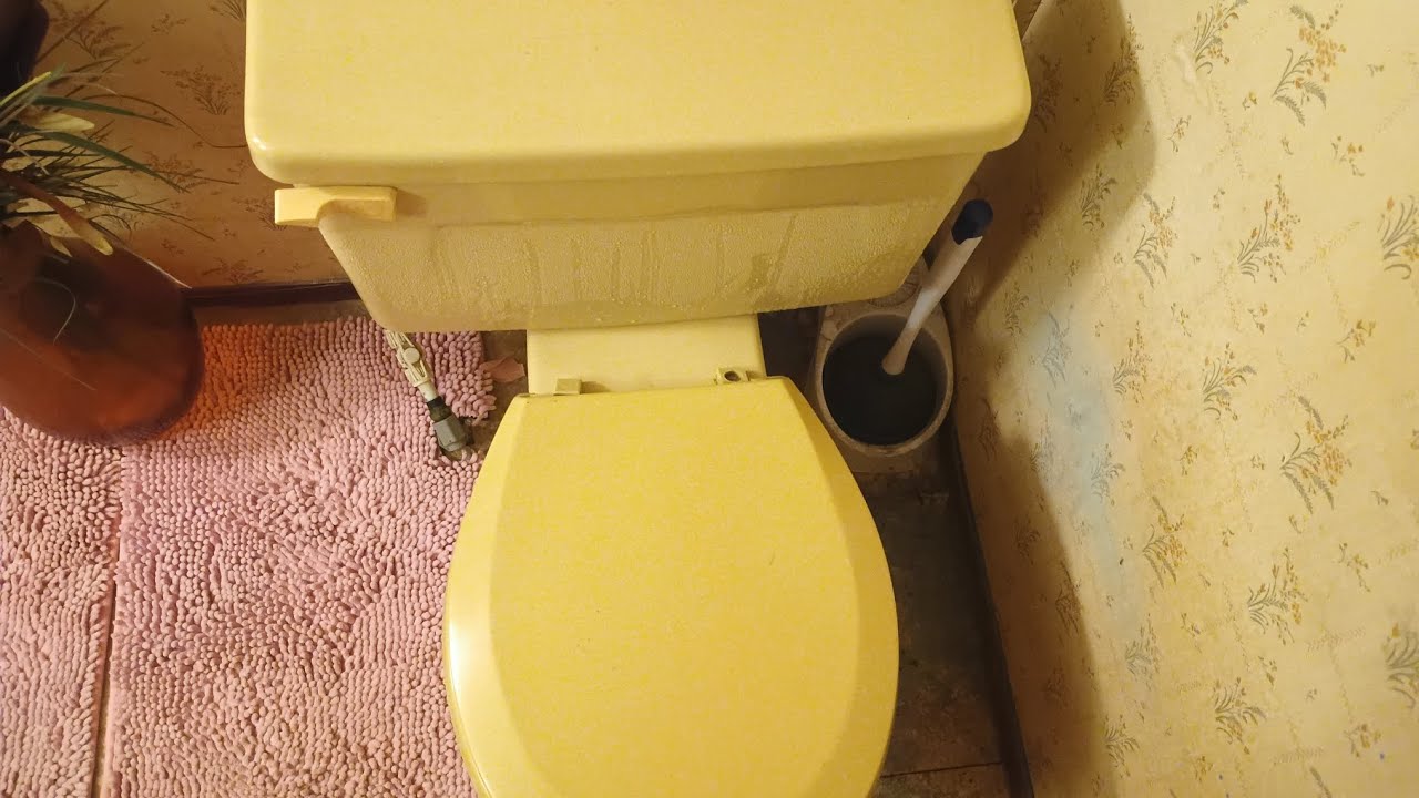 Flushing the 1978 Kohler wellworth toilet.