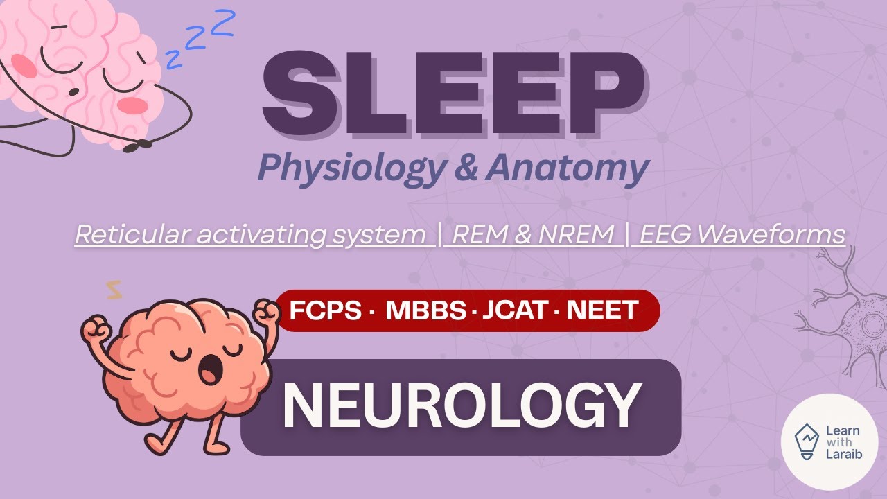 Sleep EXPLAINED: How the Brain Switches OFF & ON | Reticular System | EEG | REM & NREM| FCPS MBBS