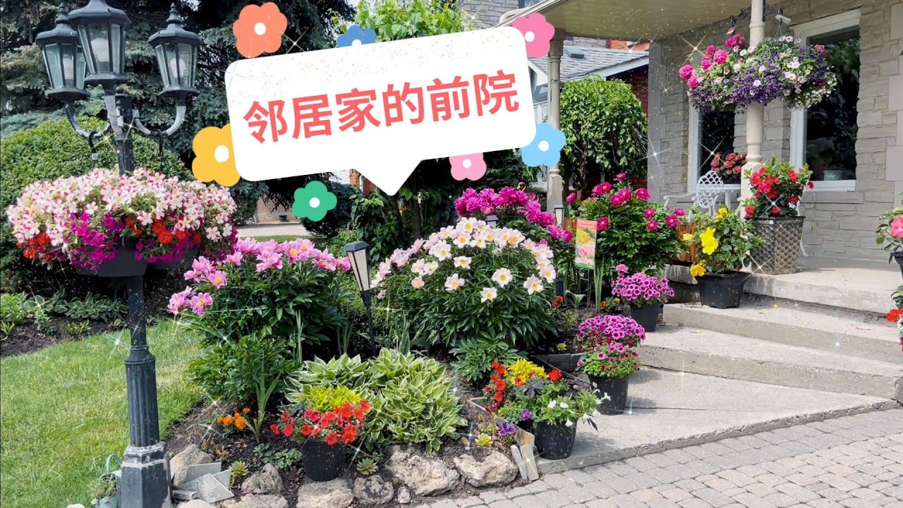 受邻居邀约参观其繁花似锦的前院，有芍药、天竺葵、矮牵牛、朱瑾等等，美轮美奂，多姿多彩，坐标多伦多