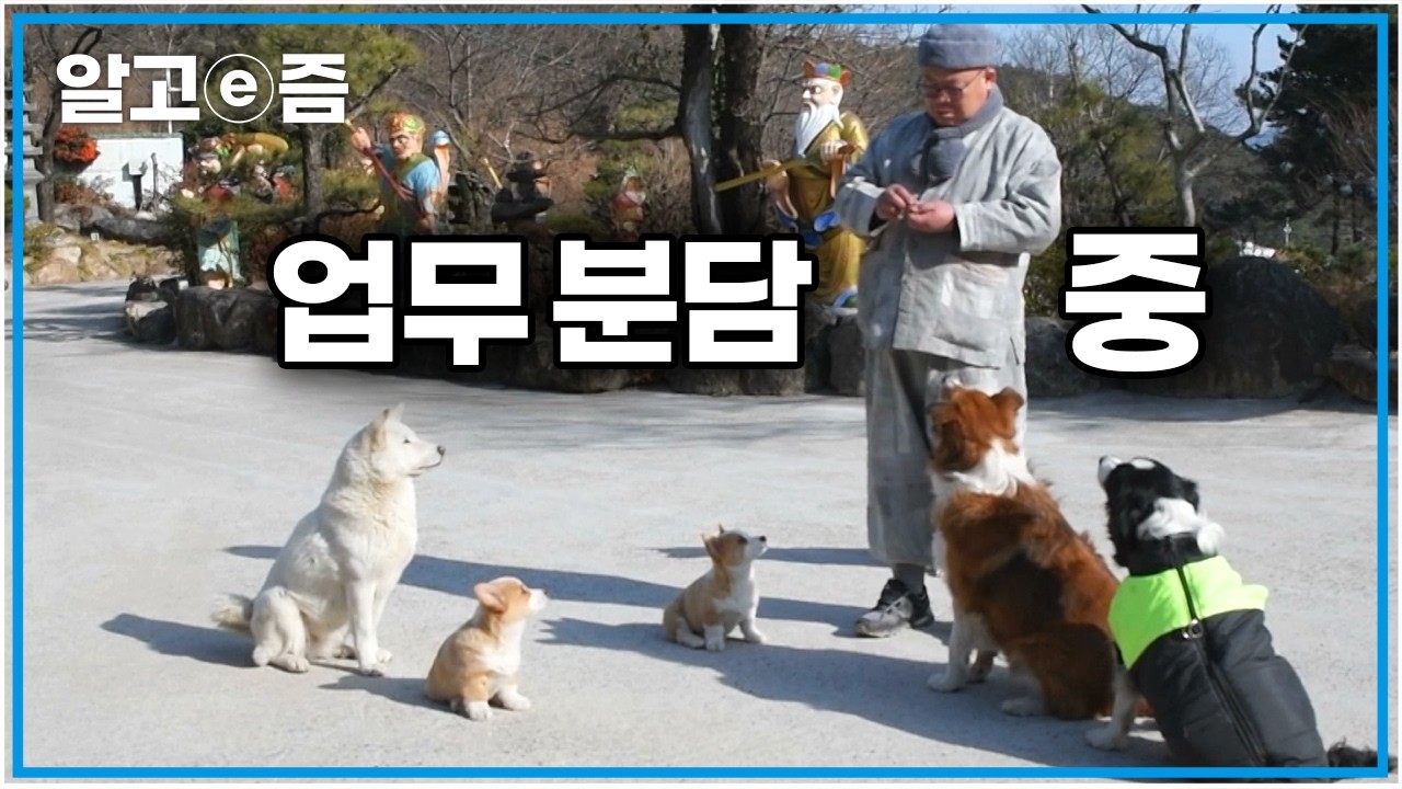 깊은 산속 절에 모인 14마리 귀여운 강아지들의 정체｜스님과 강아지｜한국기행｜알고e즘