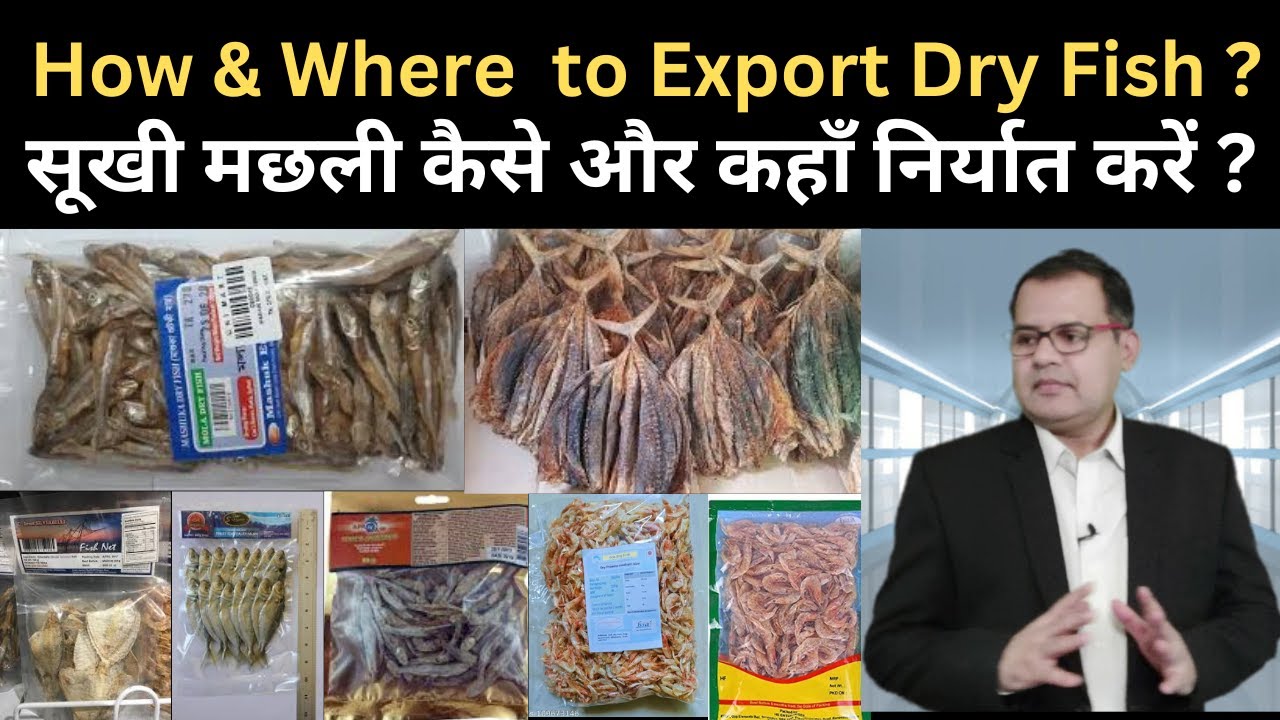 How & Where  to Export Dry Fish ?  Tuberose Corporation Trade,Business & Investment .