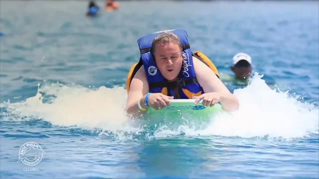 Dolphin Experience: Swim Adventure Cozumel | Dolphin Discovery