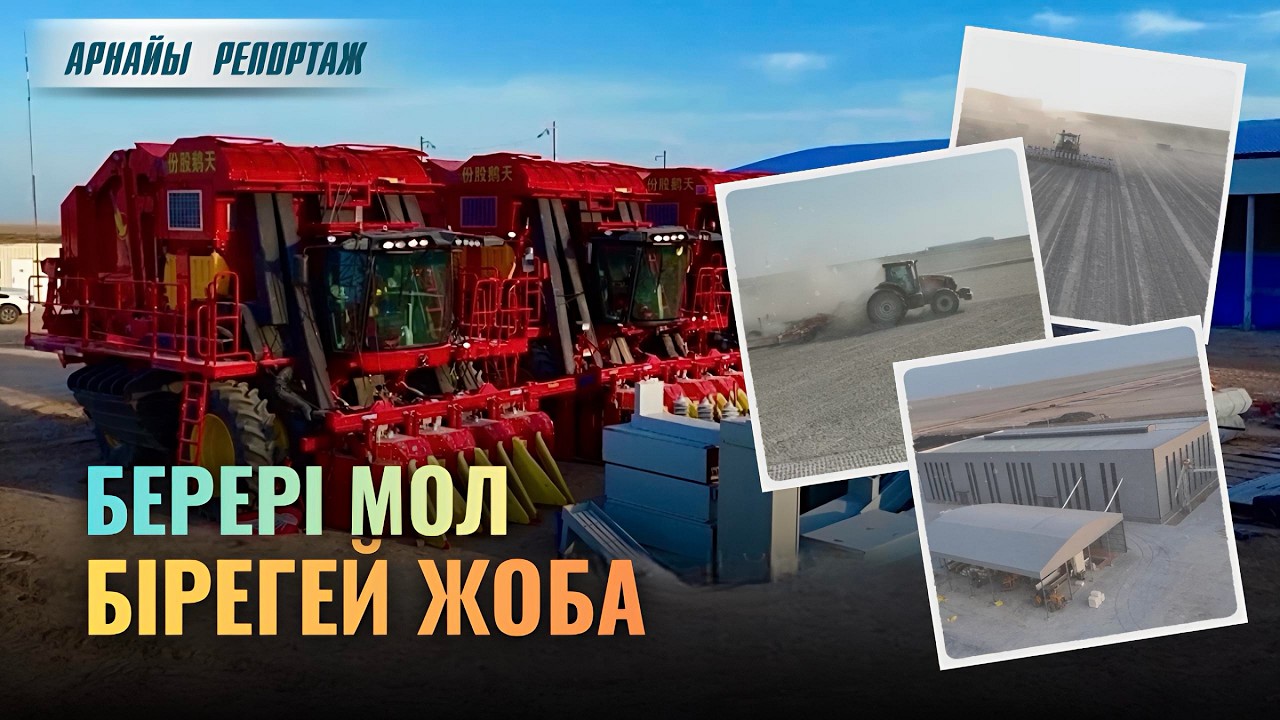 БЕРЕРІ МОЛ БІРЕГЕЙ ЖОБА | Арнайы репортаж