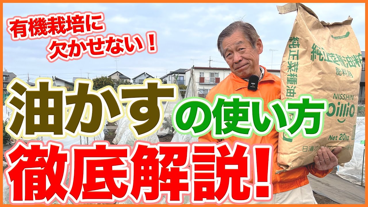 家庭菜園や農園の夏野菜栽培に向けた油粕の使い方！有機栽培に欠かせない窒素豊富な肥料で野菜を大きく育てる方法を徹底解説！【農園ライフ】