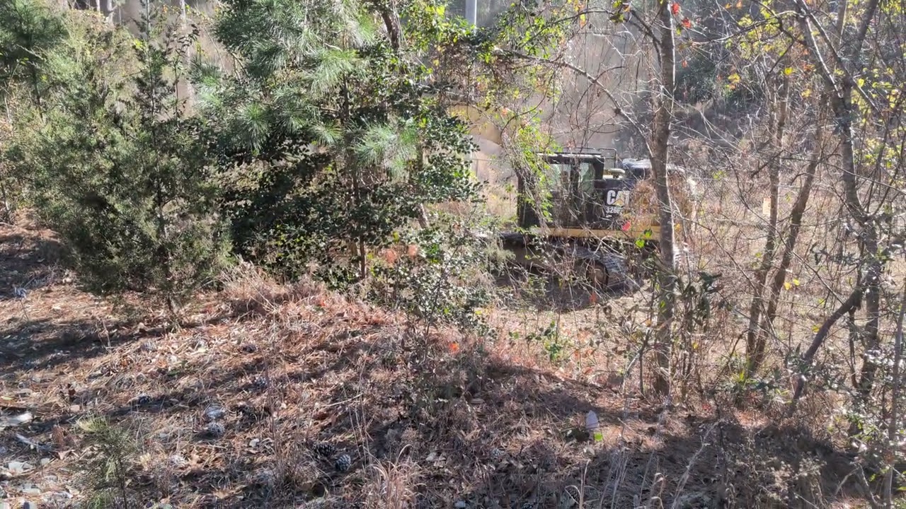 Trees being leveled at the Duke Energy plant in Fayetteville, N C. Monday morning 1/12/2025