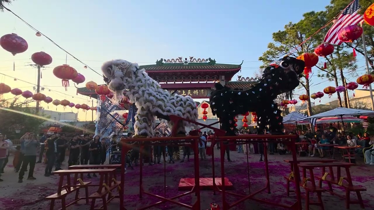 農曆新年快樂 2026 -- 休士頓天后廟 6
