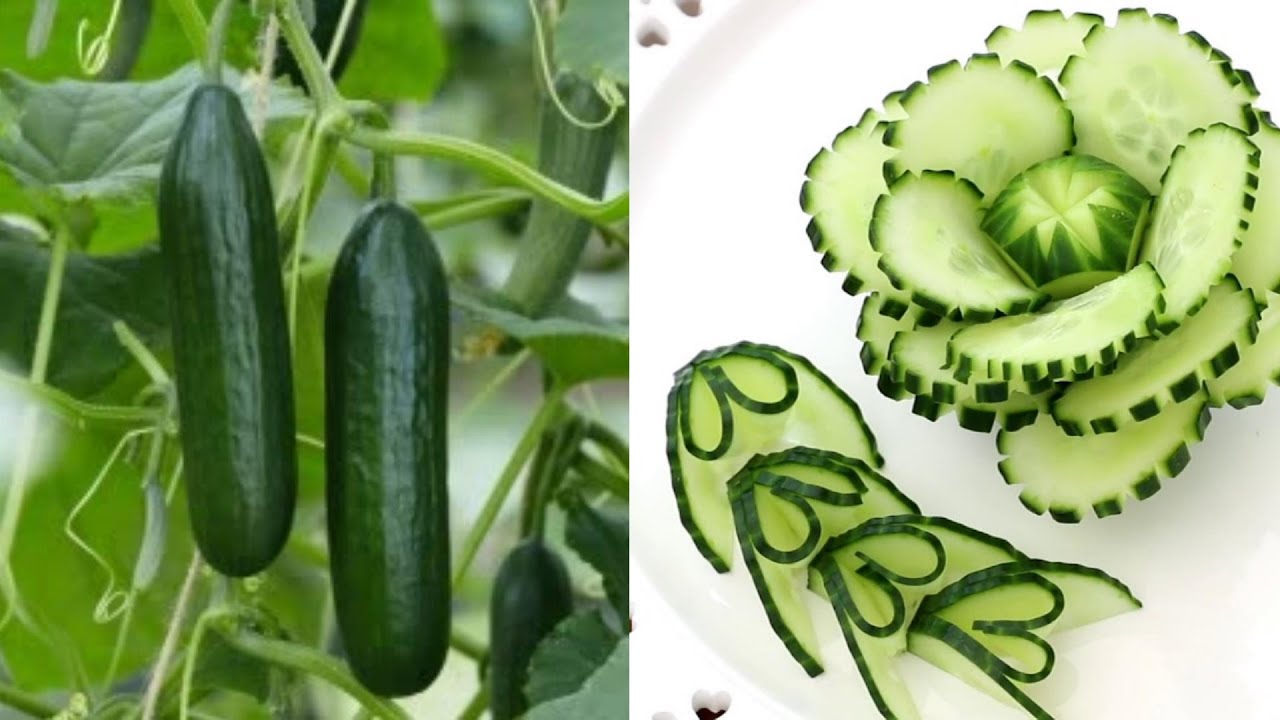 Học cắt tỉa đơn giản từ cà rốt và dưa chuột