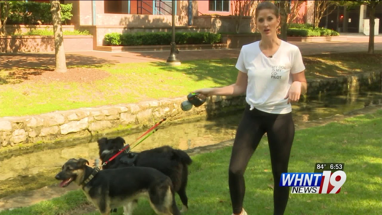 DEAL OR DUD: Dual Doggie Leash