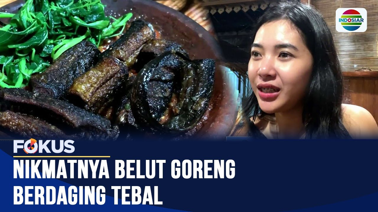 Belut Goreng Gemuk nan Gurih di Sleman, Lezatnya Makin Nendang Pakai Sambal Terasi! | Fokus