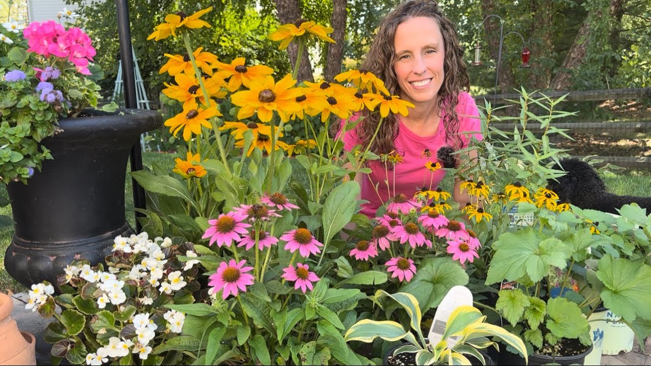 Fall Gardening! Trialing Three Varieties Of Rudbeckia and Planting My Recent Perennial Selections!🌸