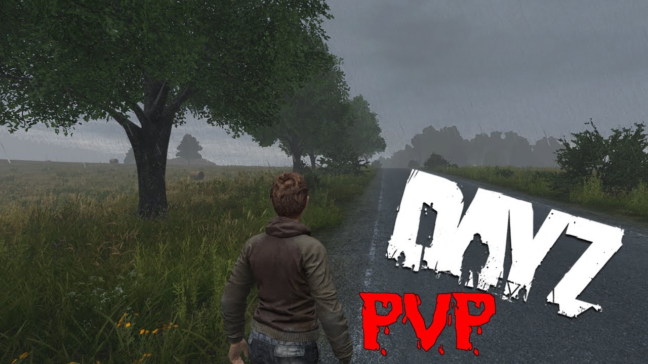 DayZ PVP #001 - Official Server Enoch/Livonia Map - Die Ersten Schritte Zum 