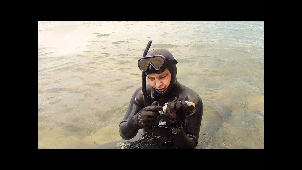 Тест Каюк 60 с центральной ручкой
