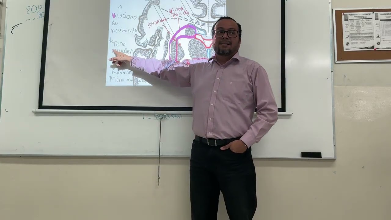 Clase 12 de febrero