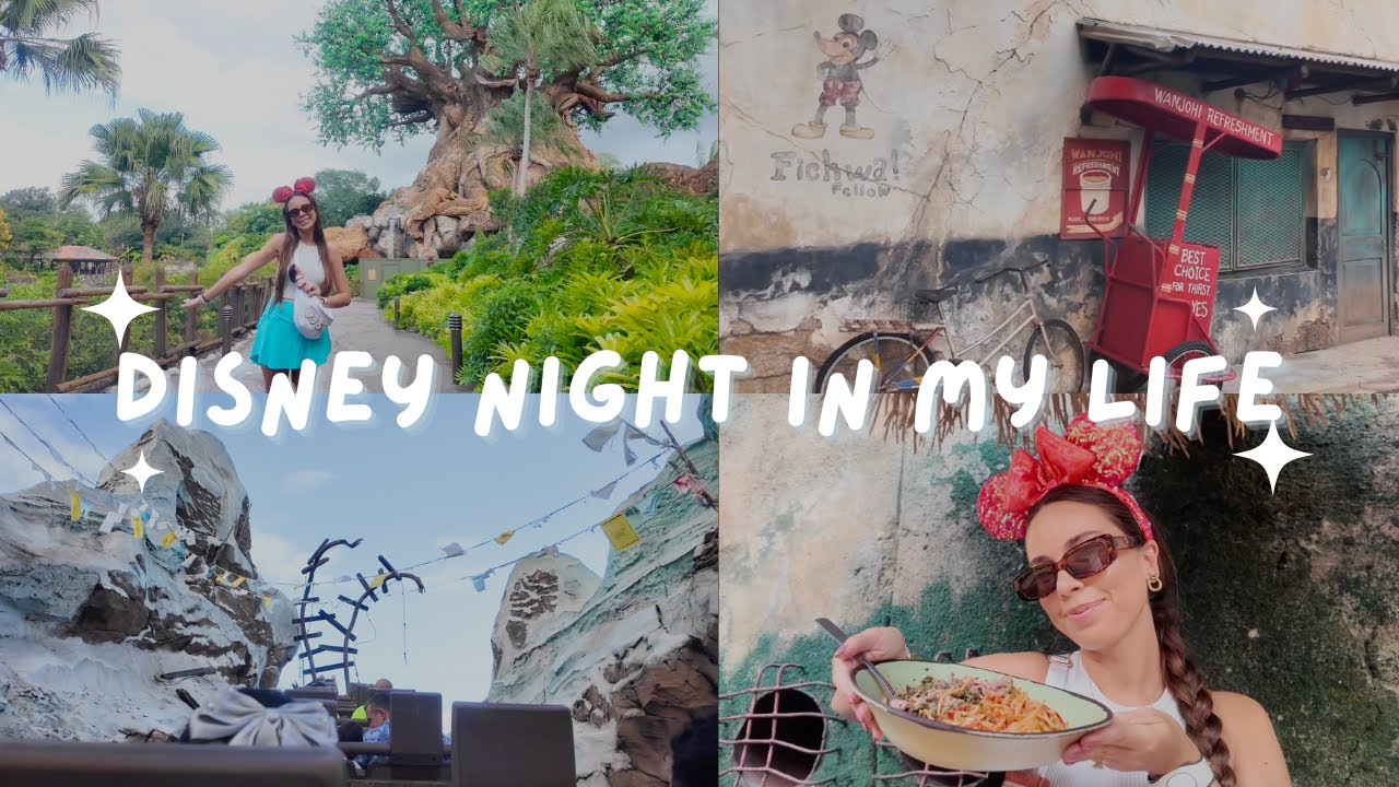 Индивидуальный видеоблог Disney в ANIMAL KINGDOM💚 за два часа до закрытия парка, моё любимое блюд...