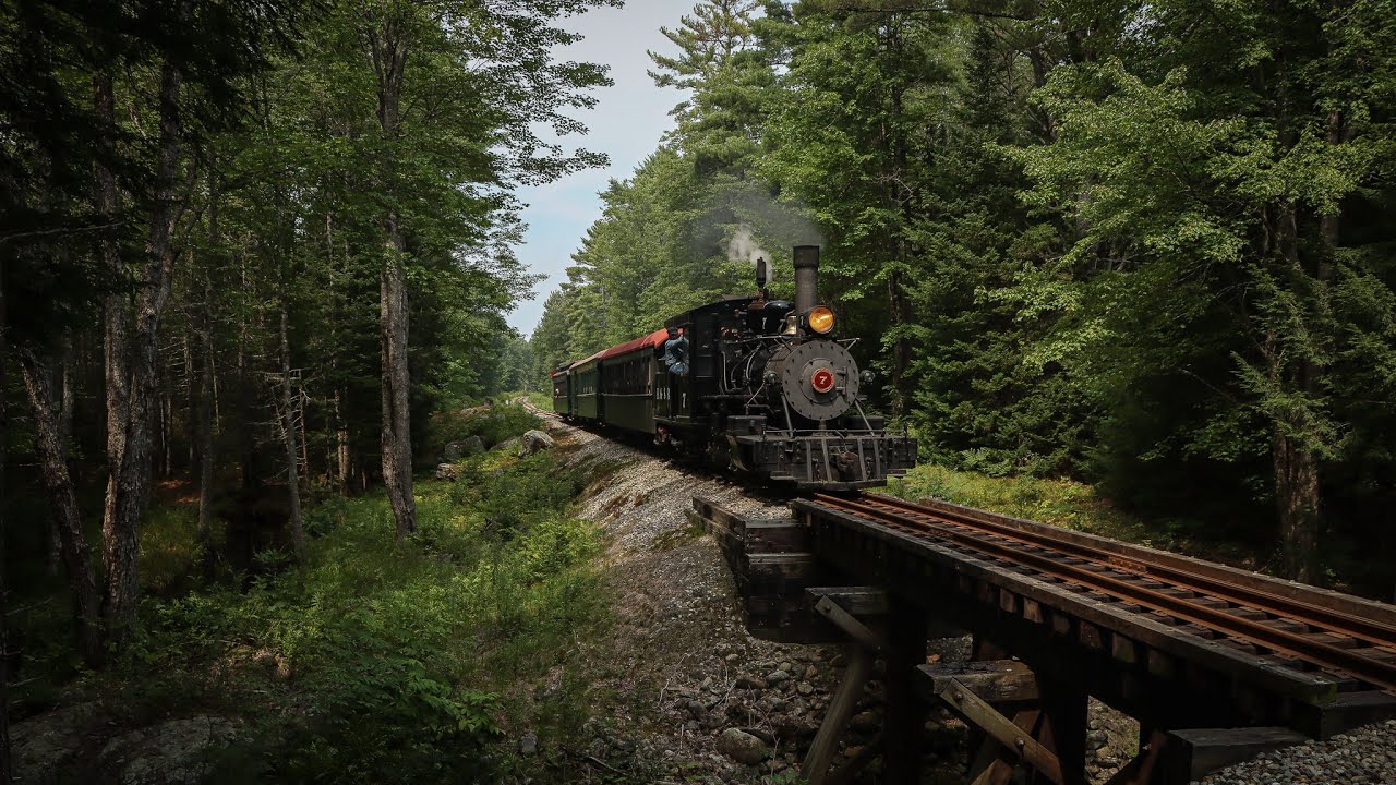 WW&F: The Woodland Forestors