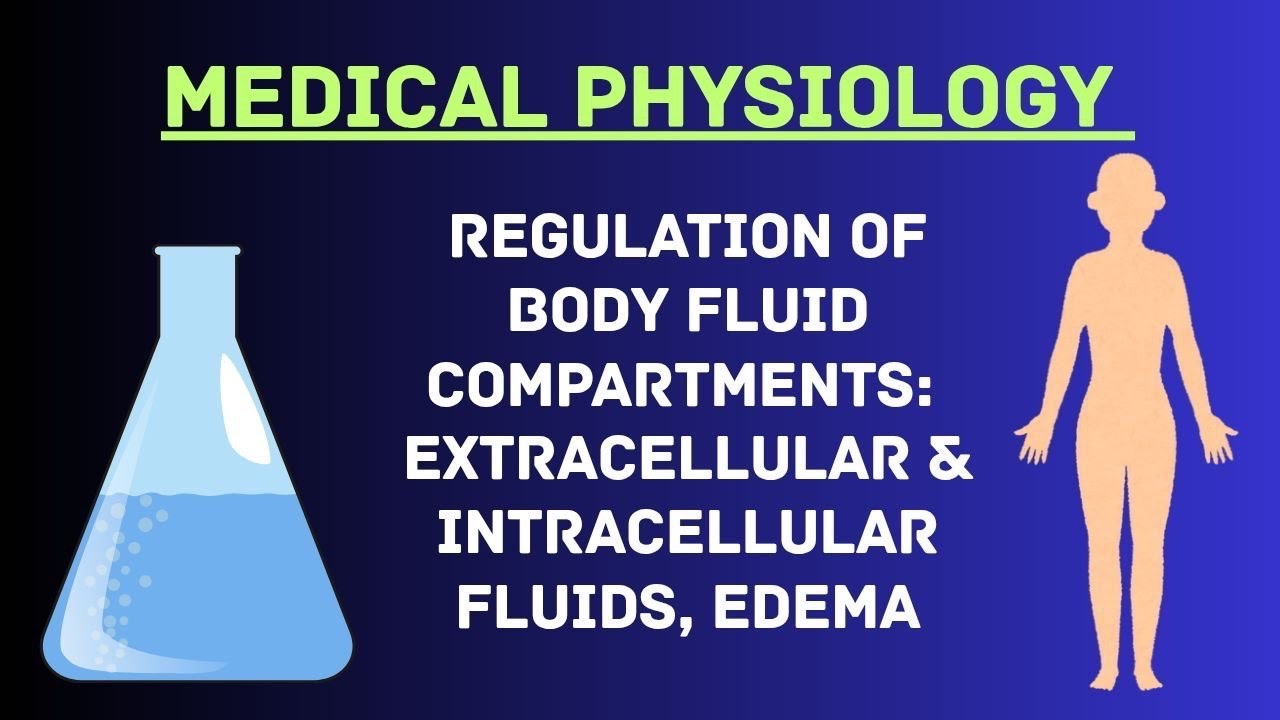 Guyton and Hall Physiology | Chapter 25 l Regulation of Body Fluid Compartments
