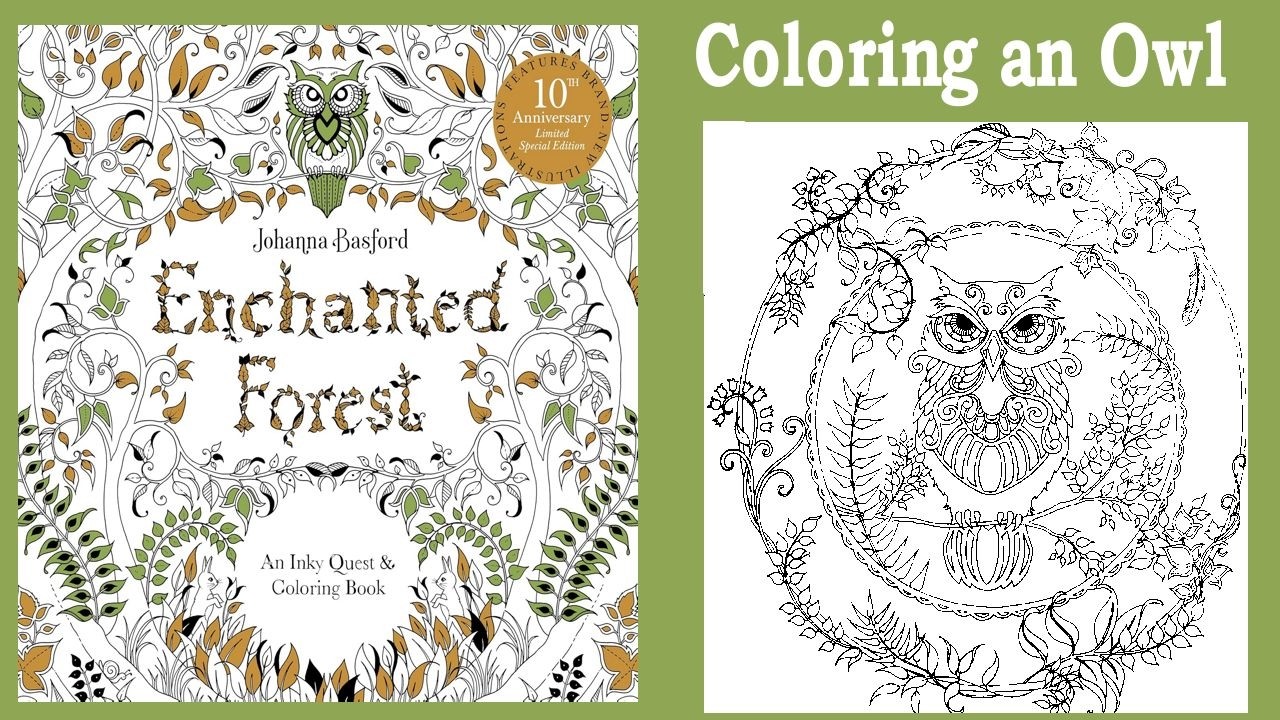 Coloring an Owl from Johanna Basford's Enchanted Forest Part 1 of 2