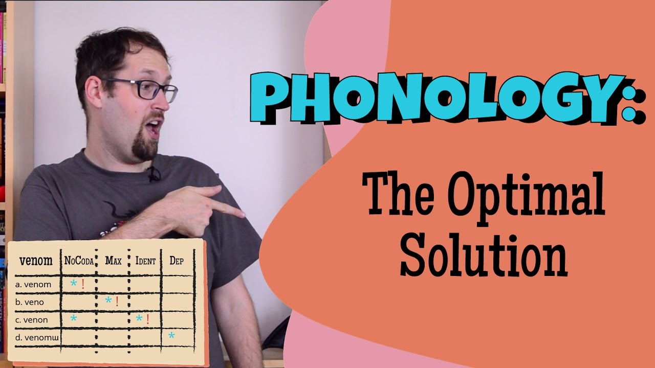 What Constraints Are There on Linguistic Sounds? Optimality Theory