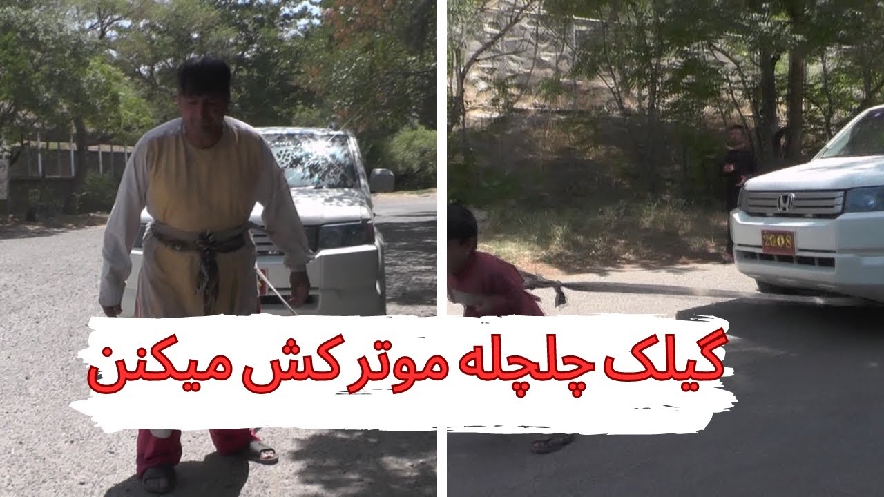 گیلک چلچله موتر کش میکنن