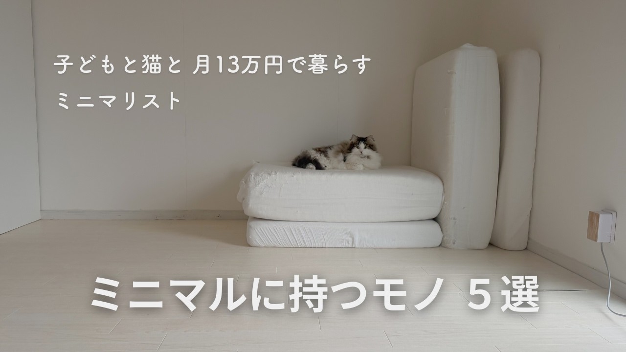【音声付き】あえてミニマルに持つモノ5選｜月13万円で暮らすミニマリスト｜子どもと猫のいる暮らし