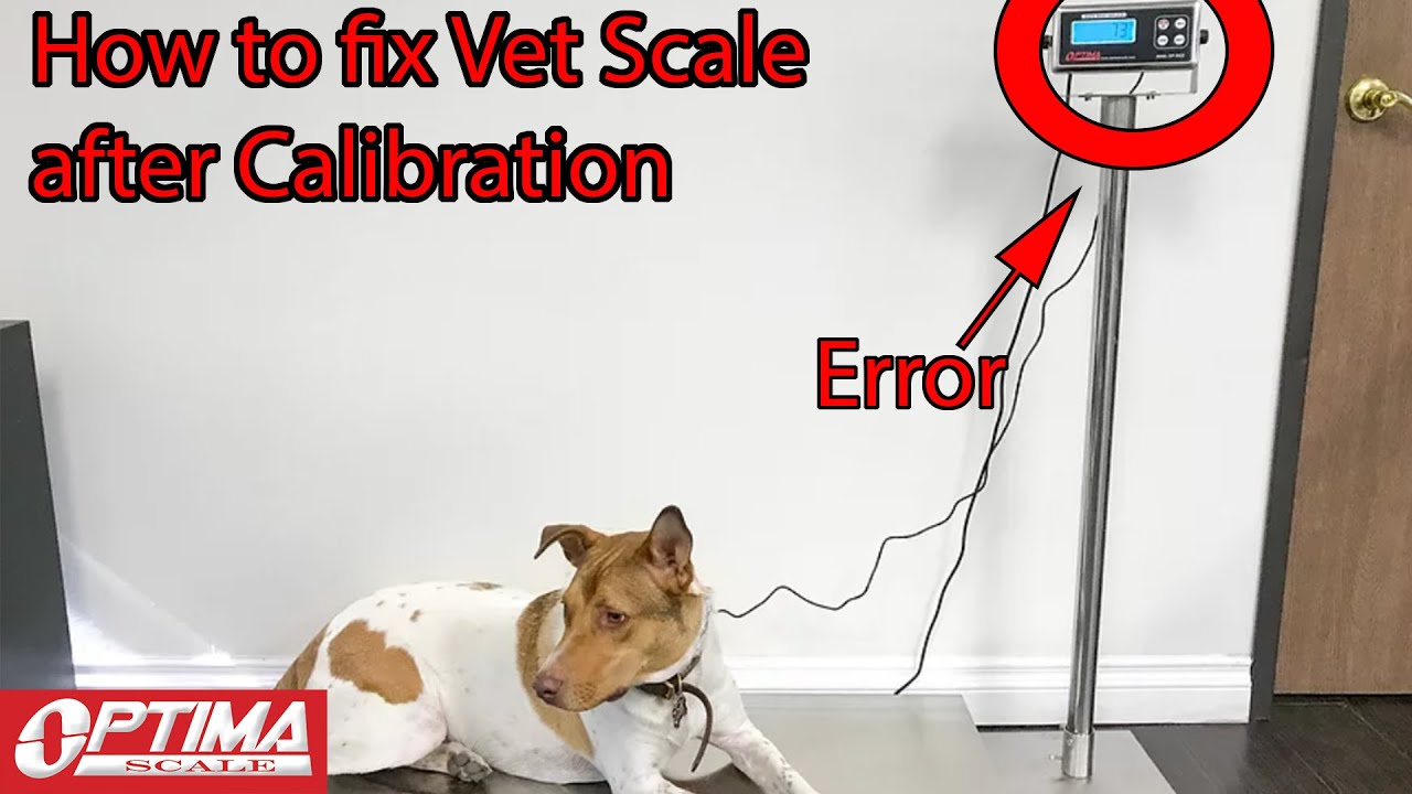 How to fix vet scale